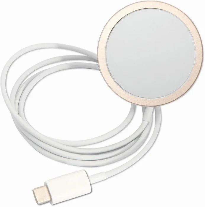 Apple iPhone 14 Pro Kılıf GUESS Magsafe Şarj Özellikli Yaprak Desenli Magsafe Şarj Kablolu Kapak - Pembe